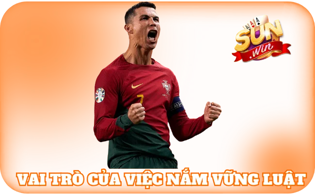 Luật Cá Độ Bóng Đá - Những Quy Tắc Quan Trọng Cần Tuân Thủ 2 Tầm quan trọng của việc nắm vững các quy luật cá độ bóng đá